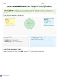 Photosynthesis Equation Builder