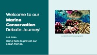 Protecting Our Amazing Marine Animals Together