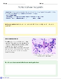 Hoe Bacteriën Zich Voeden