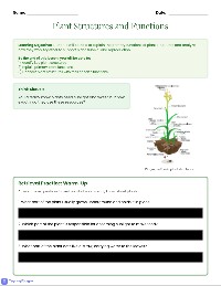 Plant Functions Essentials
