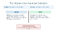 Sunni and Shi'a: The Great Division