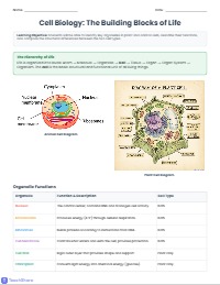 Exploring Plant and Animal Cell Structures