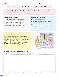 Circulatory System Anchor Charts