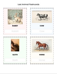 My First Animal Identification Flashcards