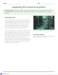 Exploring Life in the Forest Ecosystem
