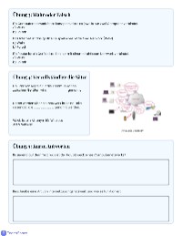 IT Vocabulary: Tom's Internship