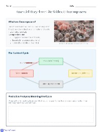 Understanding Decomposers and Nutrient Cycling