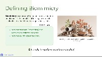 Nature's Innovations: Learning from Biomimicry