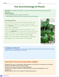 Exit Ticket: Conservation of Matter