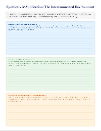 Business Environment Assessment