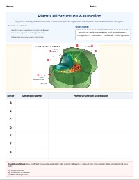 Exploring Plant and Animal Cell Structures