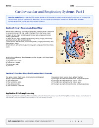 Circulatory and Respiratory Systems Mastery Review