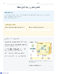 التنفس الخلوي وإنتاج الطاقة