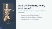 Unlocking Movement: Understanding Human Joints
