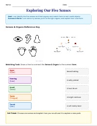 Exploring Our Five Senses Matching Worksheet