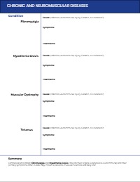 Muscular System Structure and Medical Terminology