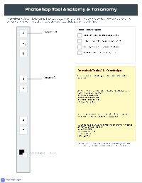 Adobe Photoshop 2025 ACP Study Guide