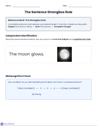 Nouns and Verbs Mastery Check