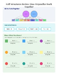 Understanding Cell Structures