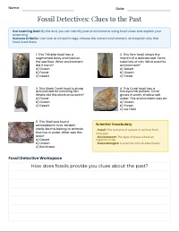 Fossil Environment Detective Worksheet