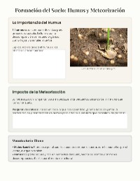 Evaluación sobre Suelo y Meteorización