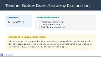 Brain Anatomy: Functions, Locations, and Disorders