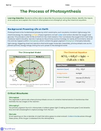 Understanding Photosynthesis: Process and Function