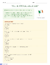 Feedback on Irish Lessons