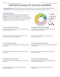 Mastery of Mitosis and Meiosis
