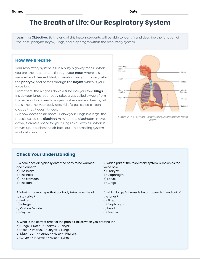 Exploring Our Amazing Respiratory System
