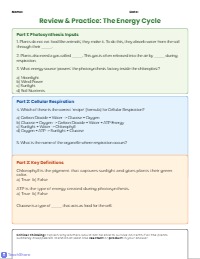 Photosynthesis and Cellular Respiration Learning Review