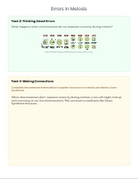 Meiosis Review Bell-Ringer