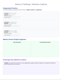 Identifying and Analyzing DNA Mutations Activity