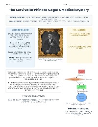 The Case Study of Phineas Gage