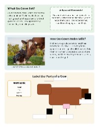 Understanding Cows