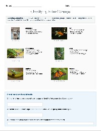 Animal Groups Sorting Organizer