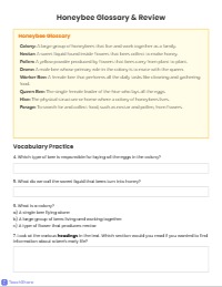Honeybees Text Features Practice