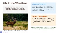 Animal Adaptations and Habitats