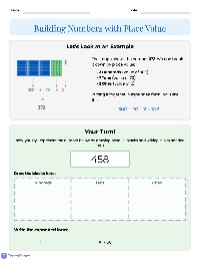 Understanding Numbers and Life Cycles