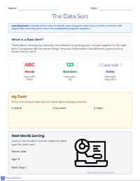 Sorting Data Types for Computer Programs