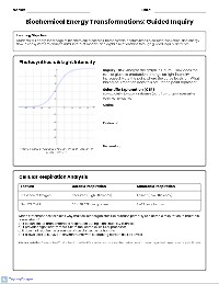 Biochemical Processes Station Review