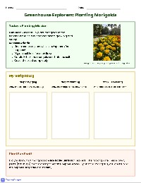 Greenhouse Planting and Care Log