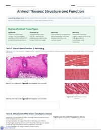 Understanding Plant and Animal Tissues Worksheet — Tissues — for ...