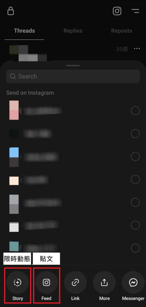 選擇分享到IG限時動態或貼文