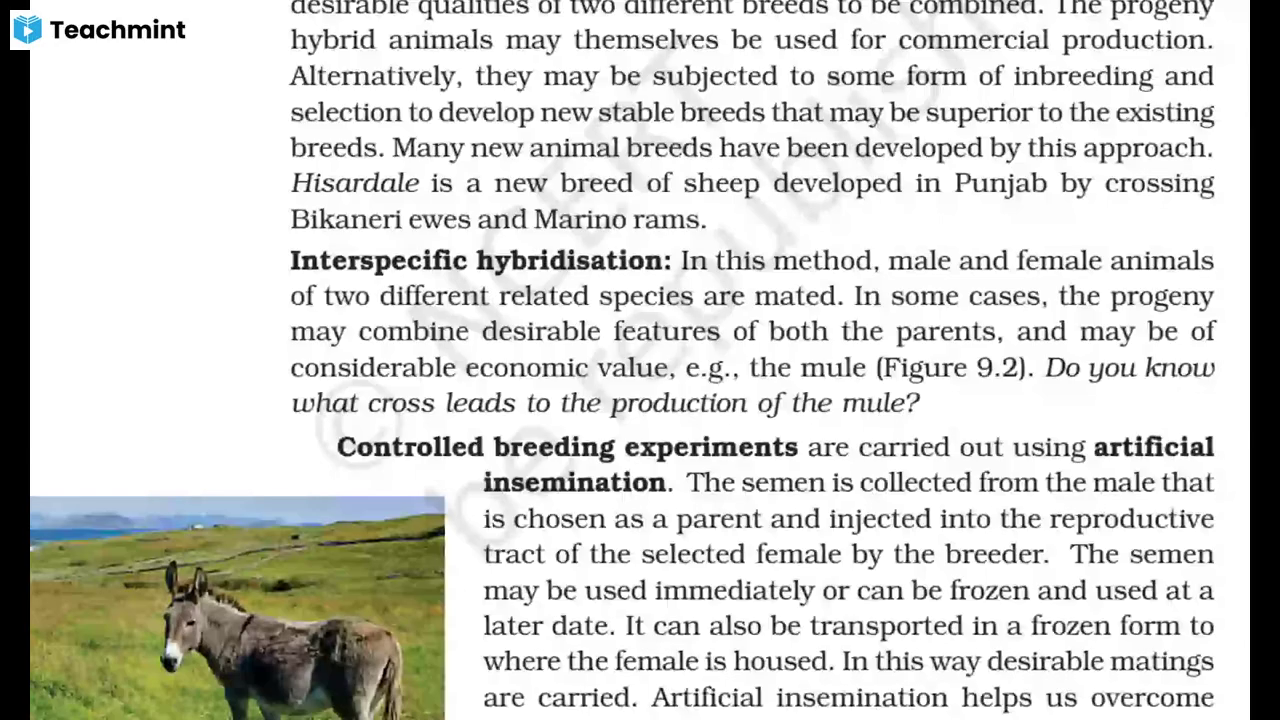 BioPedia Biology; Online Classes; Teach Online; Online Teaching; Virtual Classroom