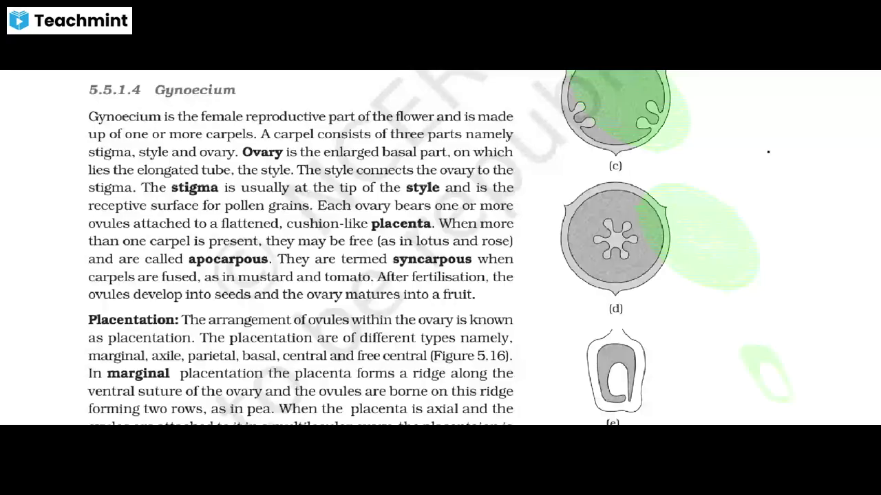 BioPedia Biology; Online Classes; Teach Online; Online Teaching; Virtual Classroom