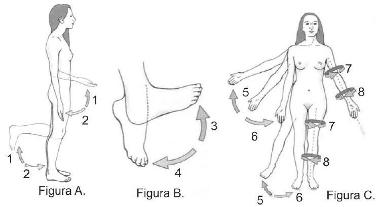 Question illustration