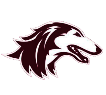 Southern Illinois University Salukis