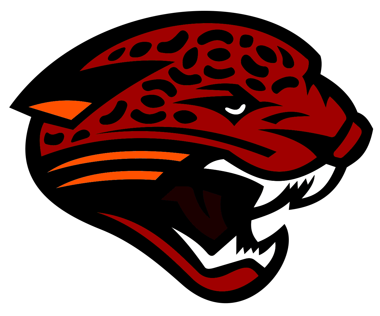 Jerome College Jaguars