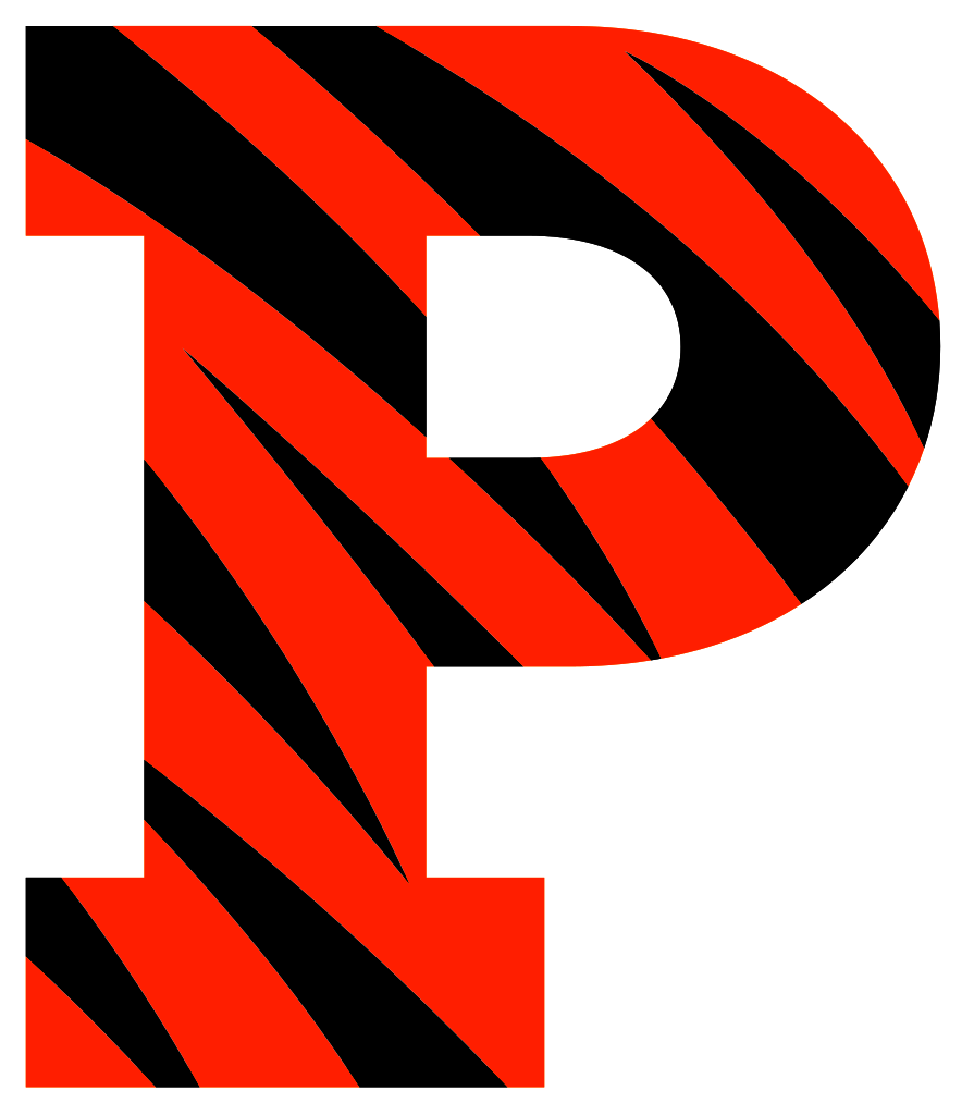 Princeton Tigers